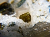 green epidote crystal val malenco valtellina italy