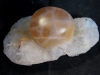 fluorite india.JPG
