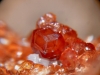 garnet hessonite val malenco valtellina italy