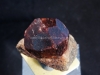 almandine brasil.JPG